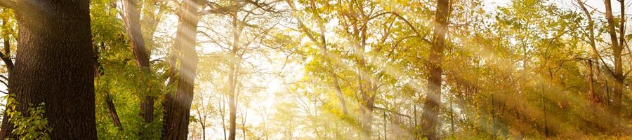 conni_eyrich_0002_Ebene 22.jpg